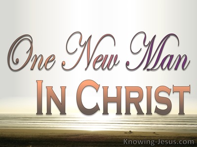 The Eternal Plan - Character and Attributes of God (24)﻿